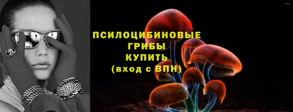 ГАЛЛЮЦИНОГЕННЫЕ ГРИБЫ Приозерск