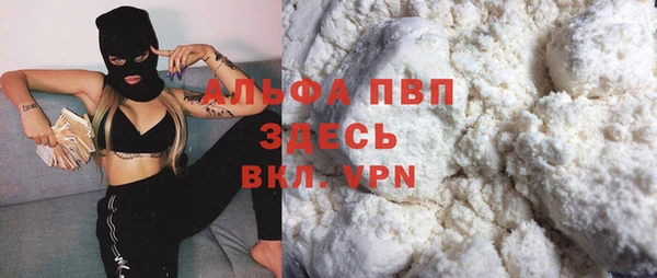 крисы Абаза