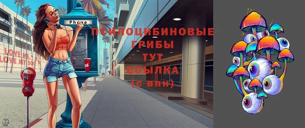 ГАЛЛЮЦИНОГЕННЫЕ ГРИБЫ Приозерск