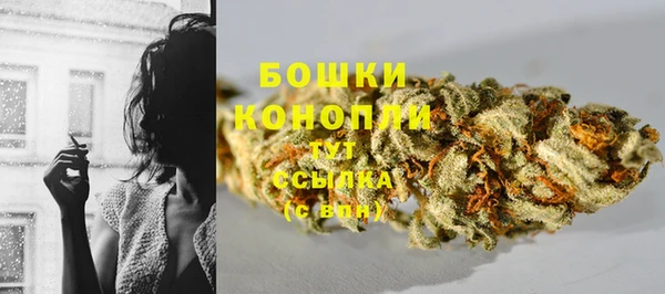 ГАЛЛЮЦИНОГЕННЫЕ ГРИБЫ Приозерск