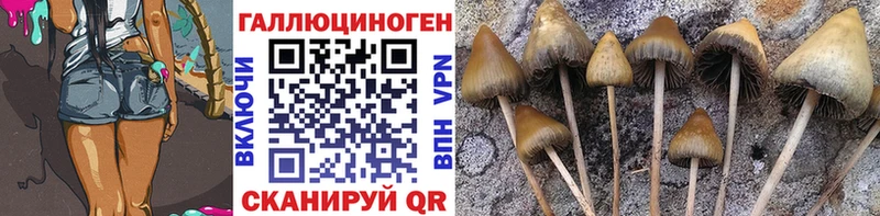 закладки  Алейск  Галлюциногенные грибы Magic Shrooms 