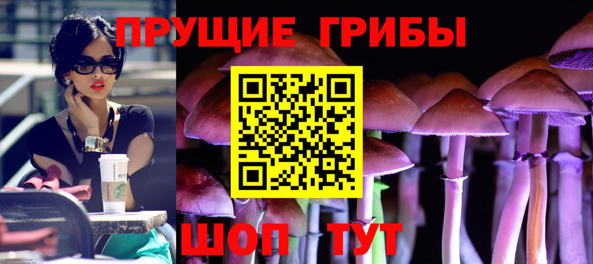 Псилоцибиновые грибы Psilocybine cubensis  Псилоцибиновые грибы Magic Shrooms  Алейск 