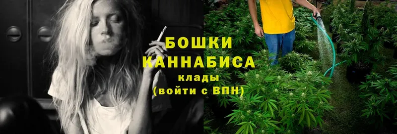 купить наркотики цена Алейск Бошки Шишки Bruce Banner